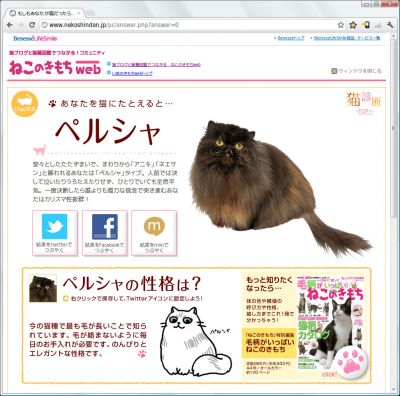 猫診断