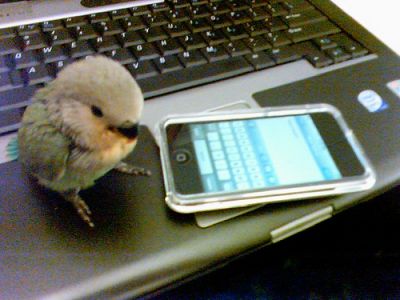 ツイッター