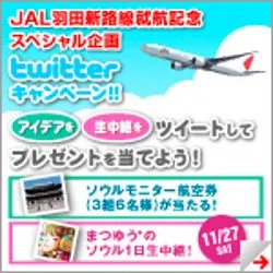 あなたが考えるソウル日帰り旅行アイデア