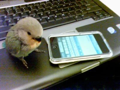 ツイッター