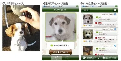 バウリンガル